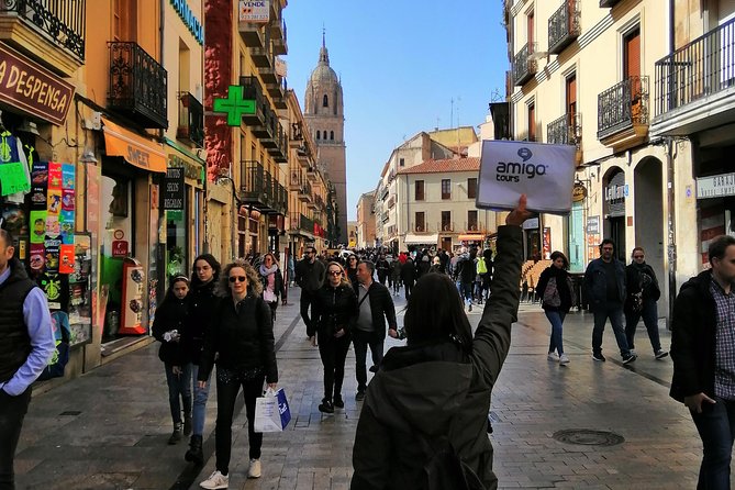 Avila & Salamanca Tour with Tickets to Cathedral + Medieval Wall - Price and Value: Does $58.99 Make Sense for This Day?