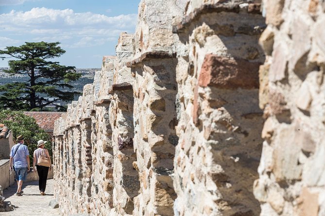 Avila with Walls and Segovia with Alcazar from Madrid - Lunch in Segovia: upgrade choices, and why the pig might not be for everyone