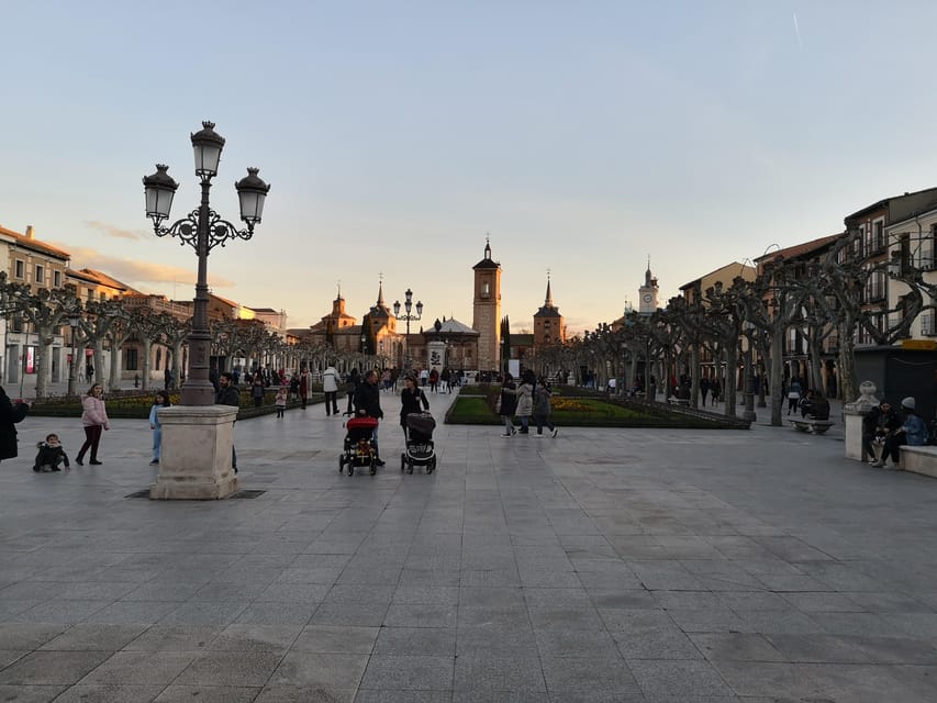 From Madrid: Alcalá de Henares, Winery Tour & Wine Tasting - Madrid to Alcalá de Henares: the van ride that sets the tone