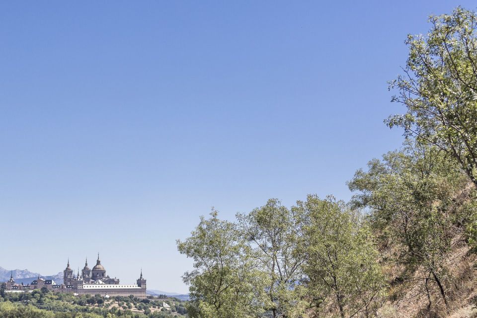 From Madrid: Escorial Monastery & Valley of the Fallen Trip - The 152-meter cross: the moment the site makes sense