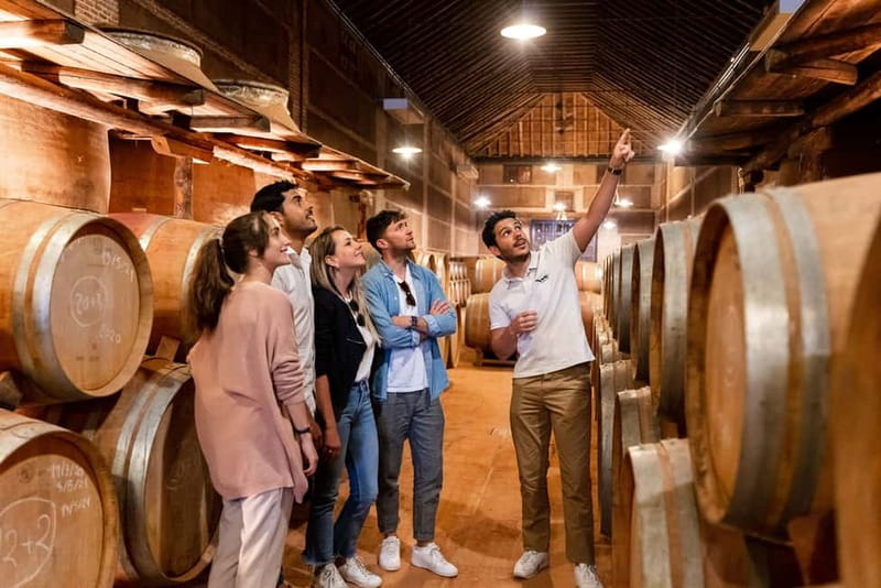 From Madrid: Toledo City Tour and Wine Tasting Experience - Key takeaways before you go