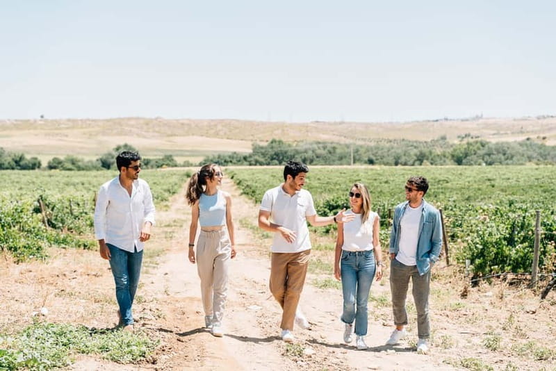 From Madrid: Toledo City Tour and Wine Tasting Experience - Toledo free time (105 minutes): how to use it like a pro