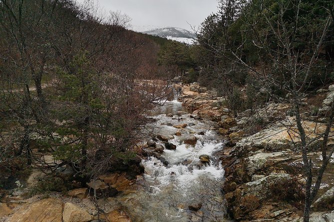 Guadarrama National Park from Madrid - What you see inside Guadarrama National Park