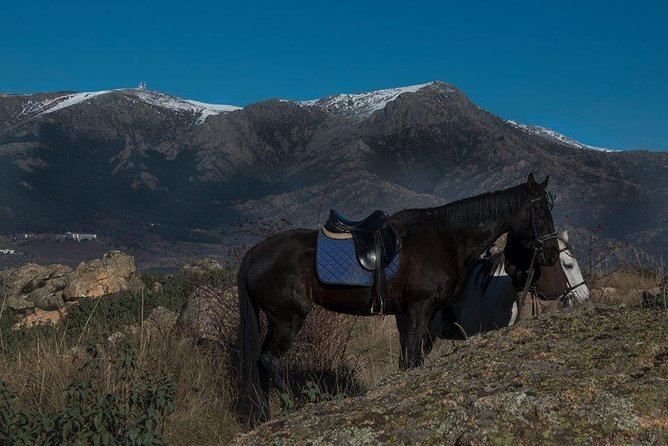 Horse Riding Madrid Natural Park - What’s included (and what you may still want to bring)