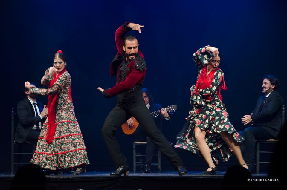 Madrid: "Emociones" Live Flamenco Performance - Quick hits before you go