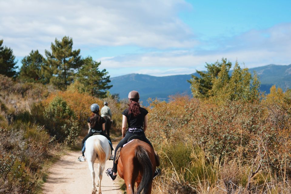 Madrid: Horse Riding in Sierra del Guadarrama National Park - Key Things I’d Prioritize Before You Go