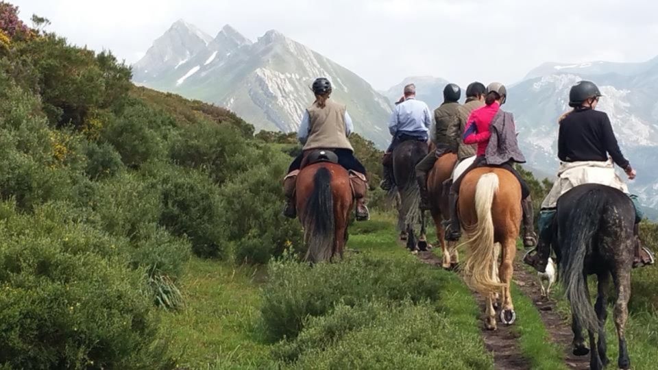 Madrid: Horse Riding in Sierra del Guadarrama National Park - Why This Ride Feels Like More Than a Madrid Day Trip