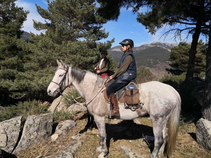 Madrid: Horse Riding in Sierra del Guadarrama National Park - Horses: Friendly, Handled Well, and Matched to You