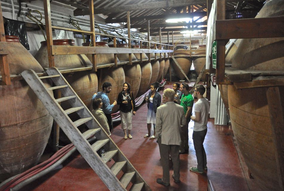 Madrid Region Wineries Guided Tour with Wine Tastings - Comparing 3 winery styles in one day (and actually learning something)