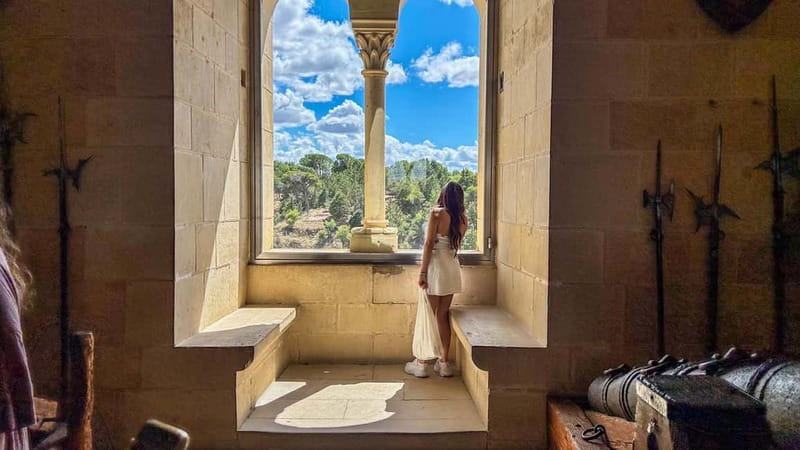 Madrid: Segovia & Ávila Full Day with Alcázar & Wall Tickets - Walking Ávila’s Medieval Wall: protected town energy