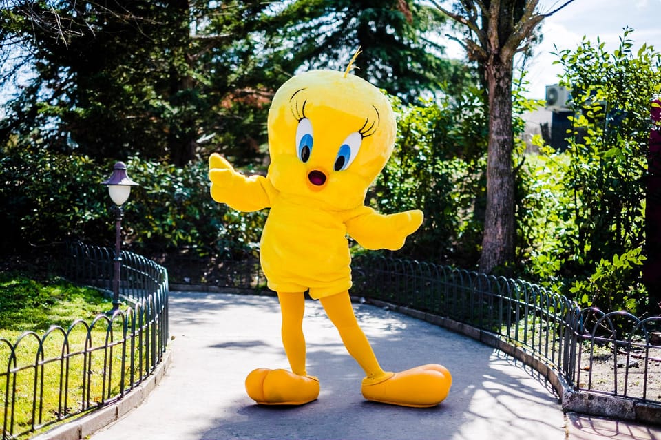 Madrid: Warner Park Entry Ticket - Key things to know before you go