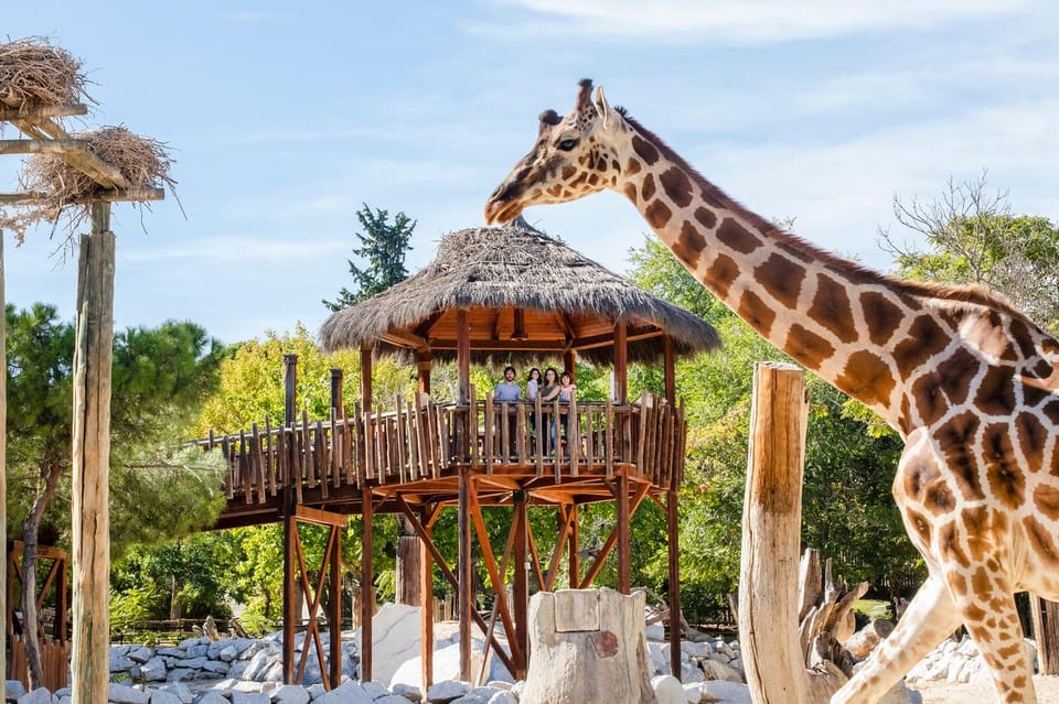 Madrid: Zoo Aquarium Madrid Ticket - Madrid Zoo Aquarium in Casa de Campo: what this ticket really includes