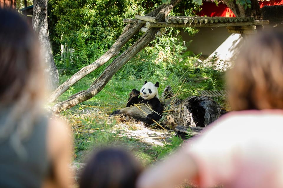 Madrid: Zoo Aquarium Madrid Ticket - 3,000 animals across 500+ species: why the variety feels worth the ticket
