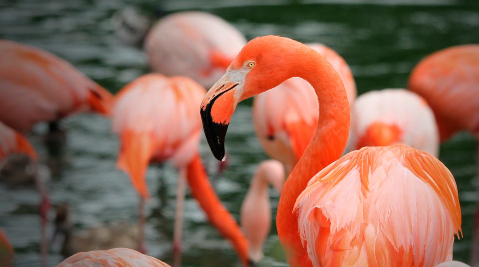 Madrid: Zoo Aquarium Madrid Ticket - Is it worth the price? Value at about $28 per person