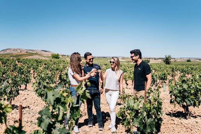 Private Segovia & Ribera del Duero with Wine Tasting from Madrid - Key highlights worth aiming for