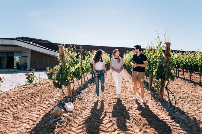Private Segovia & Ribera del Duero with Wine Tasting from Madrid - Segovia in a 5-hour guided walk: Aqueduct, Cathedral, Alcázar