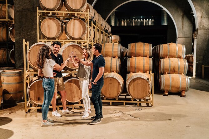 Private Segovia & Ribera del Duero with Wine Tasting from Madrid - The guide experience: when Sebastian or Agustín set the tone