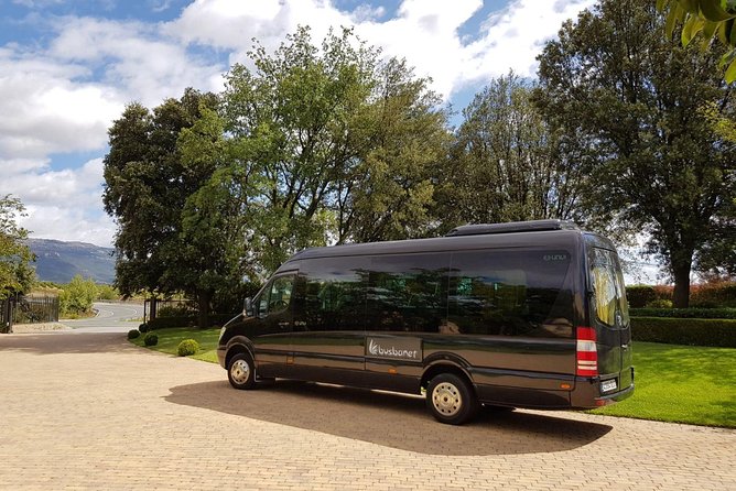 Private Transfer Madrid Barajas Airport to Madrid in Vans up to 7 Passengers - Airport waiting time: useful when flights run late, but confirm how it’s handled