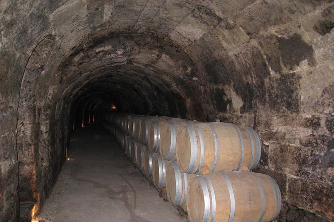 Ribera del Duero Wineries Guided Tour & Wine Tasting from Madrid - Ribera del Duero day trip: why this Tempranillo road is different