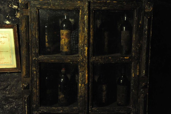 Ribera del Duero Wineries Guided Tour & Wine Tasting from Madrid - Aranda de Duero winery stop: from the grape to aged bottles
