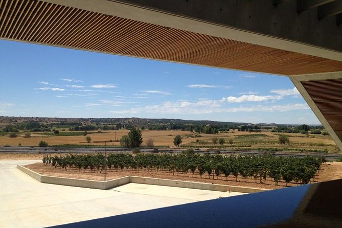 Ribera del Duero Wineries Guided Tour & Wine Tasting from Madrid - Curiel de Duero underground cellar: the 4-mile tunnel world
