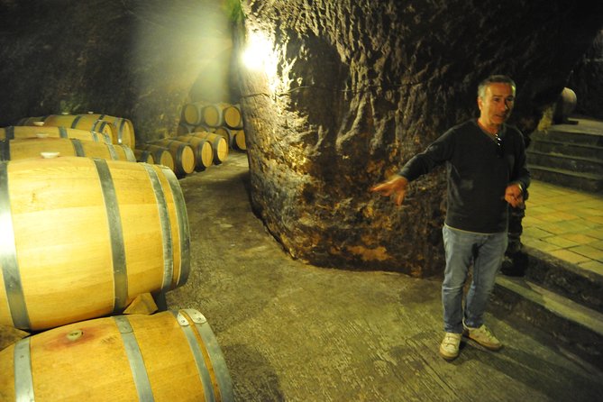Ribera del Duero Wineries Guided Tour & Wine Tasting from Madrid - The Ribera drive segments: scenic time plus structured flow