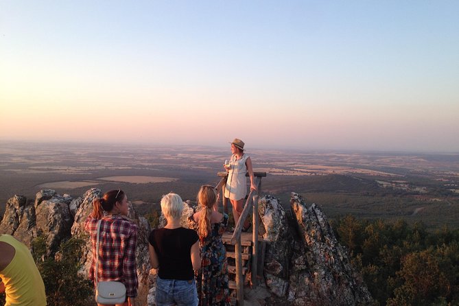 Ribera del Duero Winery Guided Tour and Wine Tasting from Madrid - Key highlights at a glance