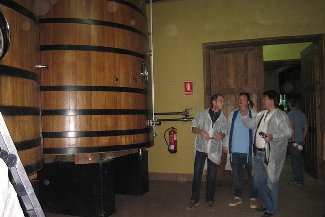 Ribera del Duero Winery Guided Tour and Wine Tasting from Madrid - Morning departure from Madrid: comfortable ride, real stories